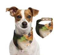 Yorkshire Terrier Bokeh Chiens Mignons Mur,Bandanas pour Chien, écharpe en Coton, Bavoirs réglables pour Animaux de Compagnie,M