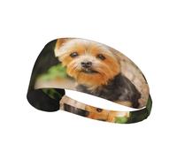 Yorkshire Terrier Bokeh Chiens Mignons Mur,Bandeau de Sport Unisexe, Bandeau élastique Multi-usages pour Cheveux