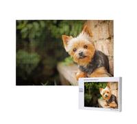 Yorkshire Terrier Bokeh Chiens Mignons Mur,Puzzle Familial en Bois de 1 000 pièces pour Adultes et Adolescents, décoration d'intérieur
