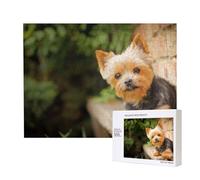 Yorkshire Terrier Bokeh Chiens Mignons Mur,Puzzle Familial en Bois de 500 pièces pour Adultes et Adolescents, décoration d'intérieur