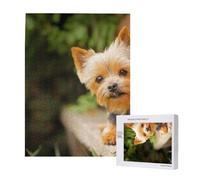Yorkshire Terrier Bokeh Chiens Mignons Mur,Puzzle Familial en Bois de 500 pièces pour Adultes et Adolescents