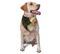 Yorkshire Terrier Bokeh Chiens Mignons WallDog Bandanas Chat Chiot Écharpes Lavable Mouchoir pour Animaux de Compagnie