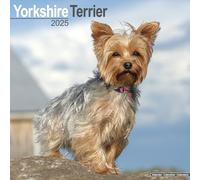 Yorkshire Terrier Calendar 2025 Square Dog Breed Wall Calendar - 16 Month