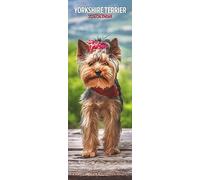 Yorkshire Terrier Calendrier 2024 fin Multicolore