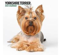 Yorkshire Terrier Calendrier moderne 2024