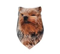 Yorkshire Terrier Chiens Mignons Chiens Chiot,Bavoir écharpe Triangulaire à Capuche réglable pour Animaux de Compagnie, Capuche Lavable adaptée aux Chiens et Chats de Petite, Moyenne et Grande Taille
