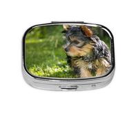 Yorkshire Terrier, chiens mignons, herbe verte, boîte à pilules méta à 2 compartiments, organiseur portable