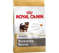 Yorkshire Terrier Junior - 500g