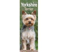 Yorkshire Terrier Slim