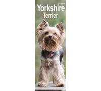 Yorkshire Terrier Slim Calendar 2025 Dog Breed Slimline Calendar - 12 Month