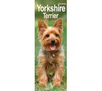 Yorkshire Terrier Slim Calendar 2026 Dog Breed Slimline Calendar - 12 Month