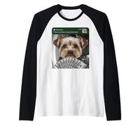 Yorkshire Terrier There is Motion At Your Front Door Yorkshire Terrier Manche Raglan