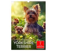 Yorkshire Terrier - un chien au caractère bien trempé, Version française (Calendrier mural 2026 DIN A3 portrait), Calendrier CALVENDO mensuel
