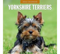 Yorkshire Terriers - Calendrier mural carré 2026 - par Red Robin Publishing