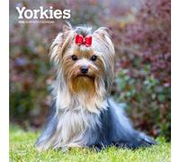 Yorkshire Terriers - Yorkshire Terrier - Yorkies 2026 - 16-Monatskalender: Original BrownTrout-Kalender [Mehrsprachig] [Kalender]