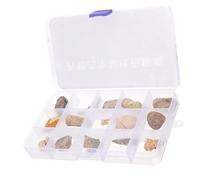YOSADIER Fossiles Décoratifs de Collection pour Enseignement Étudiant Spécimens Paléontologiques et Ornements de Bureau et Jardin Kit Archéologie pour et Éducatifs