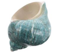 YOSADIER Ornement en Coquillages Naturels Méditerranéens Grands Coquillages Conques Blancs Objets Décoratifs pour Aquarium et Décoration Nautique Spécimens Éducatifs pour Collection et