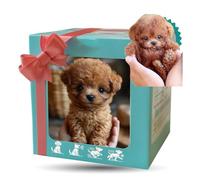 YOSEDVCB Nouveau Chien Robot IA 2025, Chien Robot IA Réaliste, Chien Interactif en Peluche for Adultes, Qui Se Comporte comme Un Vrai Chiot - Marche, Aboie, Remue La Queue(B#Brown)