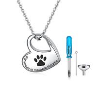 YOTHIWAD Collier urne funéraire en forme de cœur pour cendres, chaîne avec gravure pour toujours dans mon cœur, en acier inoxydable, bijou souvenir pour les êtres chers avec kit de remplissage, Acier
