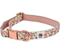 You are Llamazing - Collier pour Chien - Taille M
