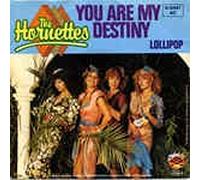 You Are My Destiny/Lollipop(7" Vinyl Single)(1980)(Strand 6.12947)
