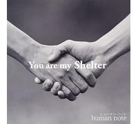 You are my Shelter