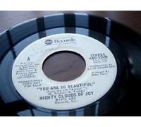 you are so beautiful / mono 45 rpm single