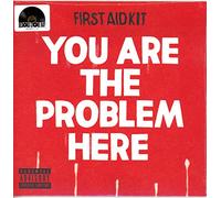 You Are The Problem Here [Vinilo]