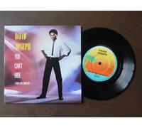 You Can't Hide (Your Love From Me)