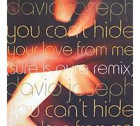 You Can't Hide (Your Love from me, Sure is Pure Remix) [Import]