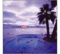You Come & Go Like a Pop Song by Bicycle Thief