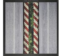 Electorate - You Don't Have Time to Stay Lost [Import]