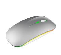 YOU GLOW GIRL LED Wireless Mouse,2.4G Portable USB Optical Wireless Computer Mice,Wireless Rechargeable Mouse for Laptop/Desktop/Tablet (Couleur Argent)