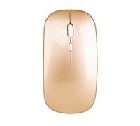 YOU GLOW GIRL Souris sans Fil LED, 3 Souris d'ordinateur DPI réglables, Souris sans Fil USB 2.4G avec Interface de Conversion USB - C pour iPad, Tablette (Couleur Or)