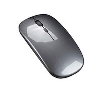 YOU GLOW GIRL Souris sans Fil LED, 3 Souris d'ordinateur DPI réglables, Souris sans Fil USB 2.4G avec Interface de Conversion USB - C pour iPad, Tablette (Gris)