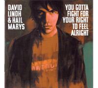 David Lind & Hail Marys - You Got to Fight for Your Right