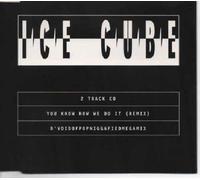 You Know How We Do It (Remix) / D'voidofpopniggafiedmegamix [Import]