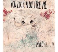 Blum, Mal - You Look a Lot Like Me