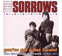 You ve got what i want the essential sorrows 1965 67 CD