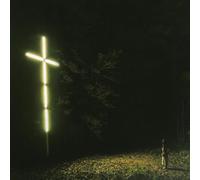 You Won't Go Before You're Supposed to – Vinyle – The Orchard