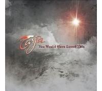 You Would Have Loved This [Import]