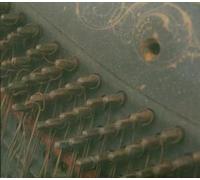 You You're a History in Rust