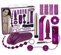 You2Toys - Plaisirs érotiques - coffret vibromasseur (12 pièces)