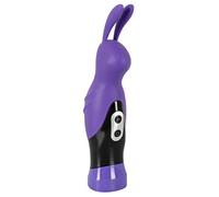 You2Toys Vibrateur Forme de Lapin Pourpre