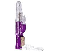 You2Toys Vibro Perles avec Stimulateur Forme de Lapin