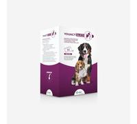 Youact Glyc 30 sachets - Aliment complémentaire hypocalorique, contribue au maintien du poids corporel idéal, contribuant à réduire les risques associés au surpoids et à l'obésité du chien.
