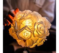 Youao Lumières Roses Roses à Del, Guirlande Lumineuse à Fleurs Roses à Del, Guirlande de Fleurs en Mousse de Batterie avec des lumières pour Le décor extérieur de pelouse de Patio de Jardin