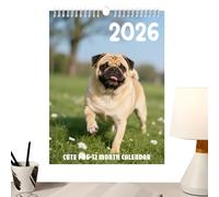 Youding Calendrier Mural 2026,Décoration De Planificateur Mensuel - Agenda Annuel Mural Pour La Planification Annuelle - pour Famille Enseignant Intérieur École Salle de Classe Bureaux Maison