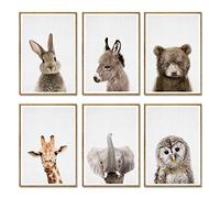 Youihom 6 Affiche Bebe Gris Animaux Lapin Cheval Ours Hibou Elephant Girafe Poster Chambre Enfant Foret 21x30 Tableau Savane Toile Nordique Murale Decoration Cadeau sans Cadre