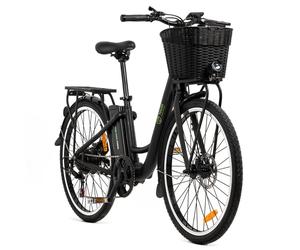 Youin BK2226B vélo électrique Noir Aluminium 66 cm (26 ) 25 kg